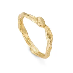 Tomfoolery Adakite East Gold Band Online