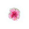 Tomfoolery Aphrodite Hibiscus Beaded Sequin Brooch Hot