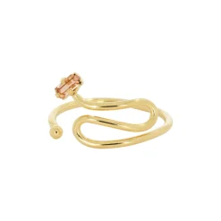 Tomfoolery Arcana Adjustable Ring Best