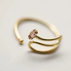 Tomfoolery Arcana Adjustable Ring Best