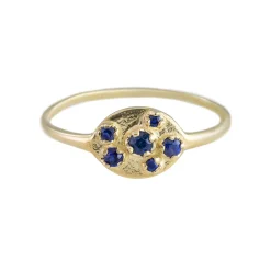 Tomfoolery Blue Sapphire & 14ct Yellow Gold Shield Ring Sale