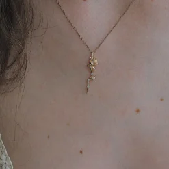 Tomfoolery Celestial Rose Necklace New