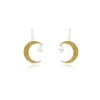 Tomfoolery Crescent Moon & Star Hook Earrings Fashion