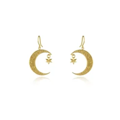 Tomfoolery Crescent Moon & Star Hook Earrings Fashion