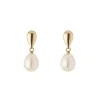 Tomfoolery 9ct Yellow Gold & Pearl Drop Earrings Clearance