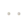 Tomfoolery 9ct Yellow Gold Akoya Pearl Studs Fashion