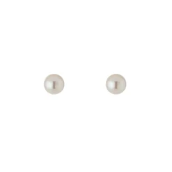 Tomfoolery 9ct Yellow Gold Akoya Pearl Studs Fashion