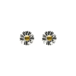 Tomfoolery Daisy Studs Hot