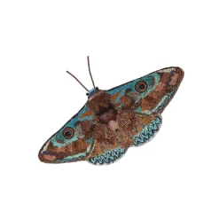 Tomfoolery Donuca Moth Beaded Art Object Online