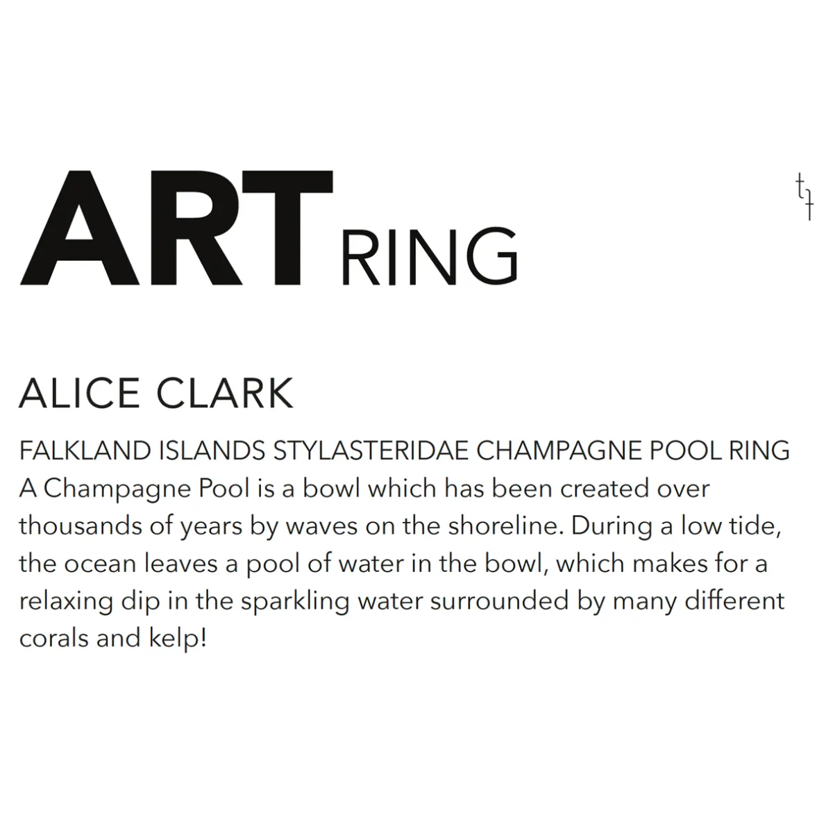 Tomfoolery Falkland Islands Stylasteridae Champagne Pool Art Ring New