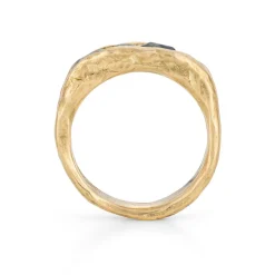 Tomfoolery Fjord Sapphire Ring Fashion
