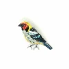 Tomfoolery Flame Faced Tanager Beaded Sequin Brooch Fashion