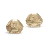 Tomfoolery Gold Crab Shell Studs Fashion