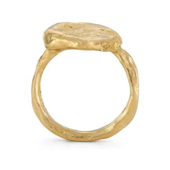 Tomfoolery Gold Mehnir Signet Ring Fashion