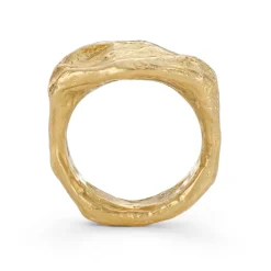 Tomfoolery Gold Rock Signet Ring Hot