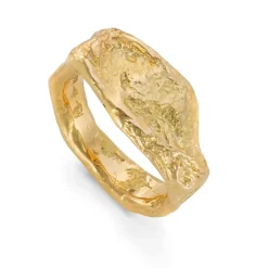 Tomfoolery Gold Rock Signet Ring Hot