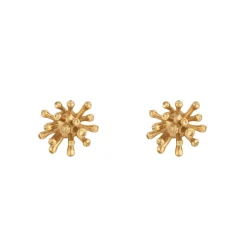 Tomfoolery Gold Sea Traveller Studs Fashion