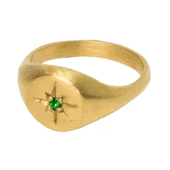 Tomfoolery Gold Signet Ring with Tsavorite Outlet