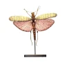 Tomfoolery Grasshopper Beaded Art Object Hot
