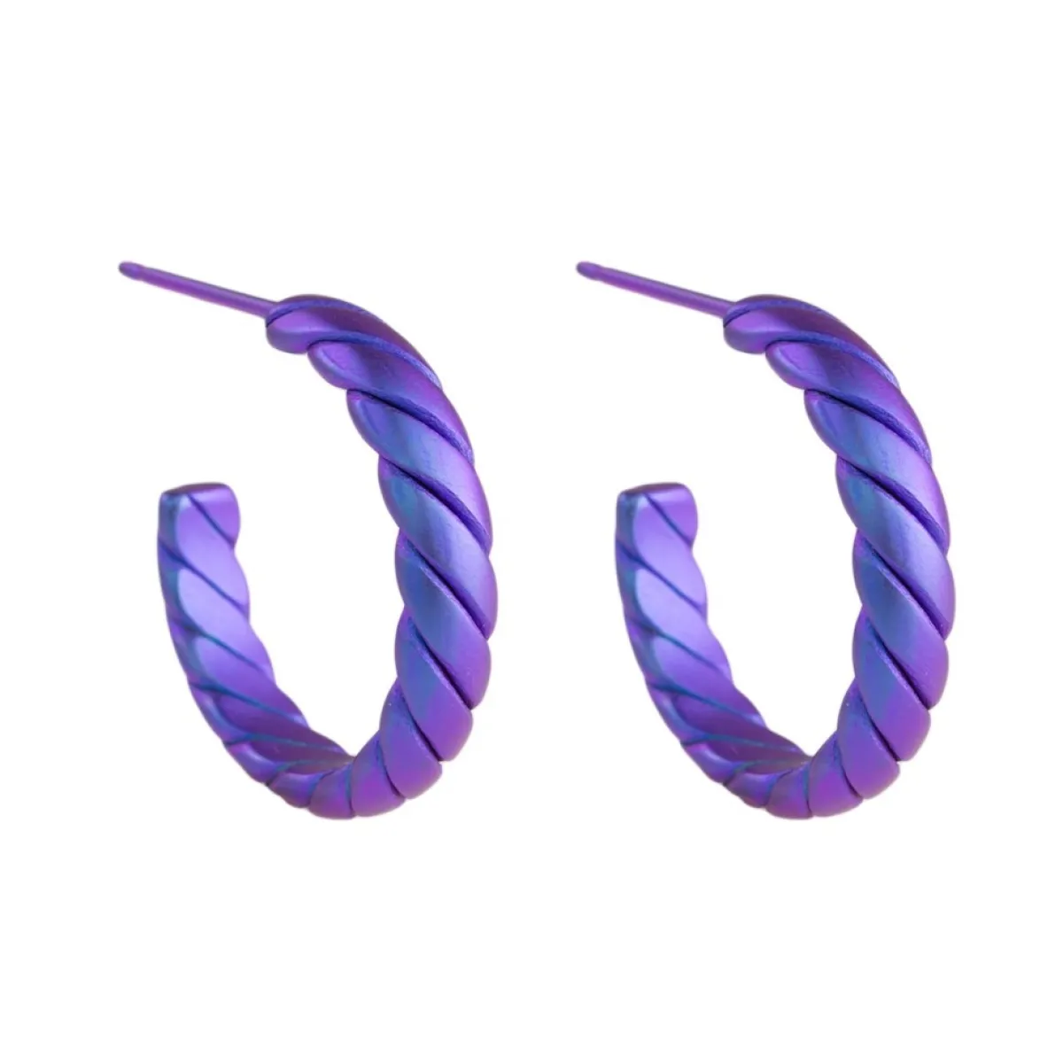 Tomfoolery 16mm Twisted Titanium Hoop Earrings Discount