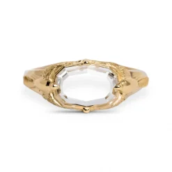 Tomfoolery One-Of-A-Kind East-West Peri Signet Ring Online