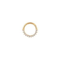 Tomfoolery Pave Diamond Daith Hoop Fashion