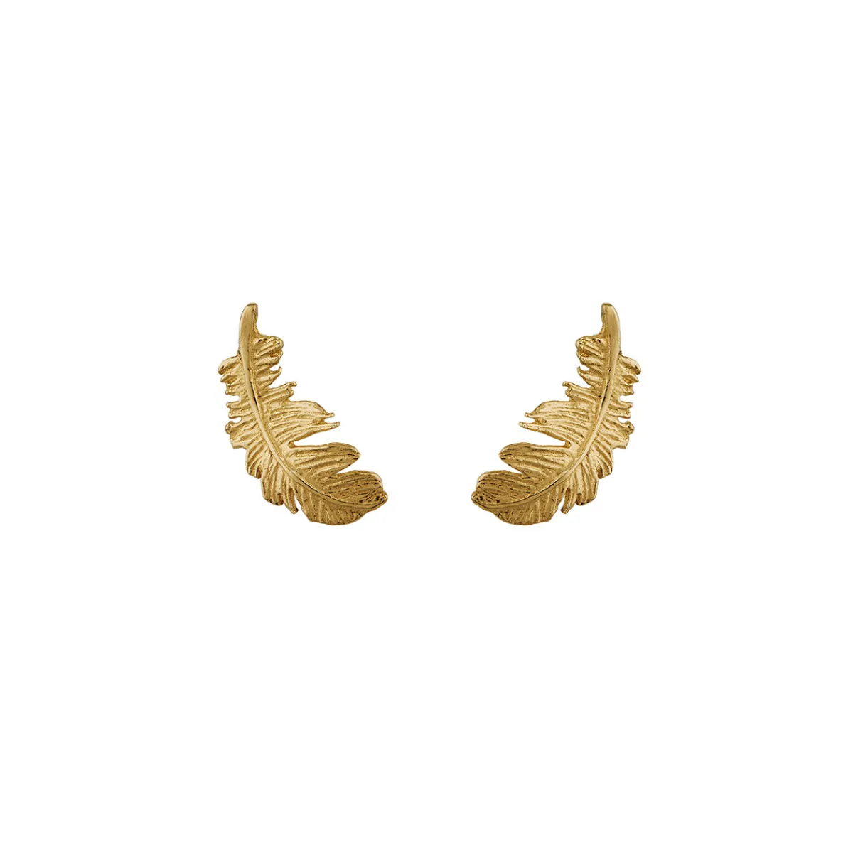 Tomfoolery Plume Feather Stud Earrings Discount