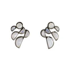Tomfoolery Rainbow Moonstone Prawn Stud Earrings Best