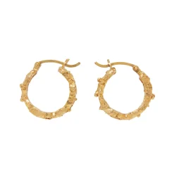 Tomfoolery Rebutia Small Gold Hoops Best