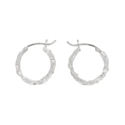Tomfoolery Rebutia Small Silver Hoops Fashion