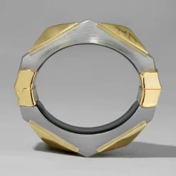 Tomfoolery Sage Luminous Lucite Armour Hinge Bracelet Online