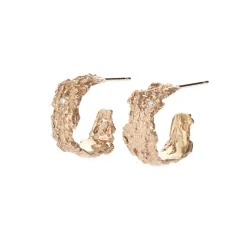 Tomfoolery Sessile Oak Hoops Fashion
