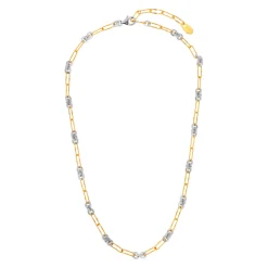 Tomfoolery Silver & Gold Mixed Link Necklace Online