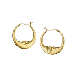 Tomfoolery Small Crescent Moon Hoop Earrings New