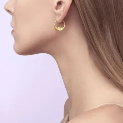 Tomfoolery Small Crescent Moon Hoop Earrings New