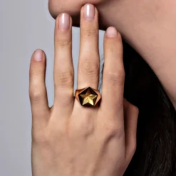 Tomfoolery Star Signet Ring Fashion