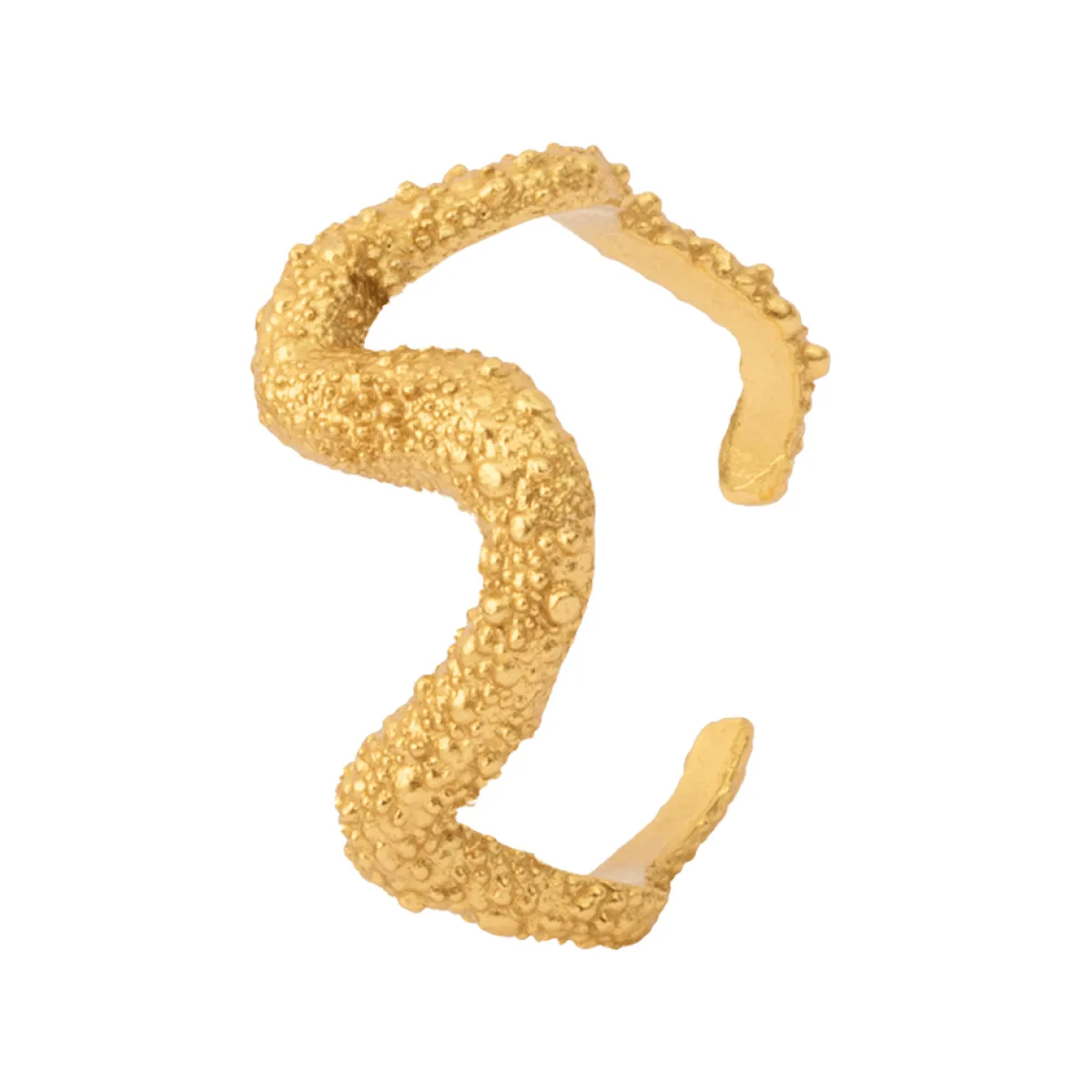 Tomfoolery Textured Ring of Astley Online