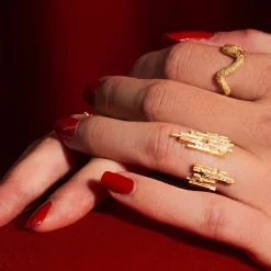 Tomfoolery Textured Ring of Astley Online